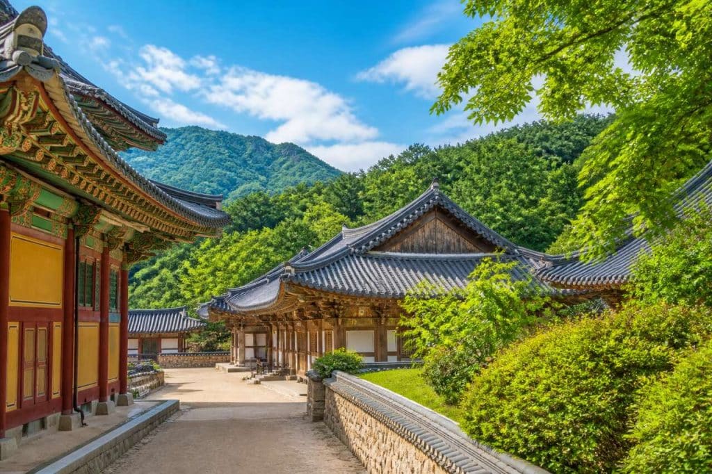 Temple Haeinsa : guide complet pour visiter ce trésor de Corée