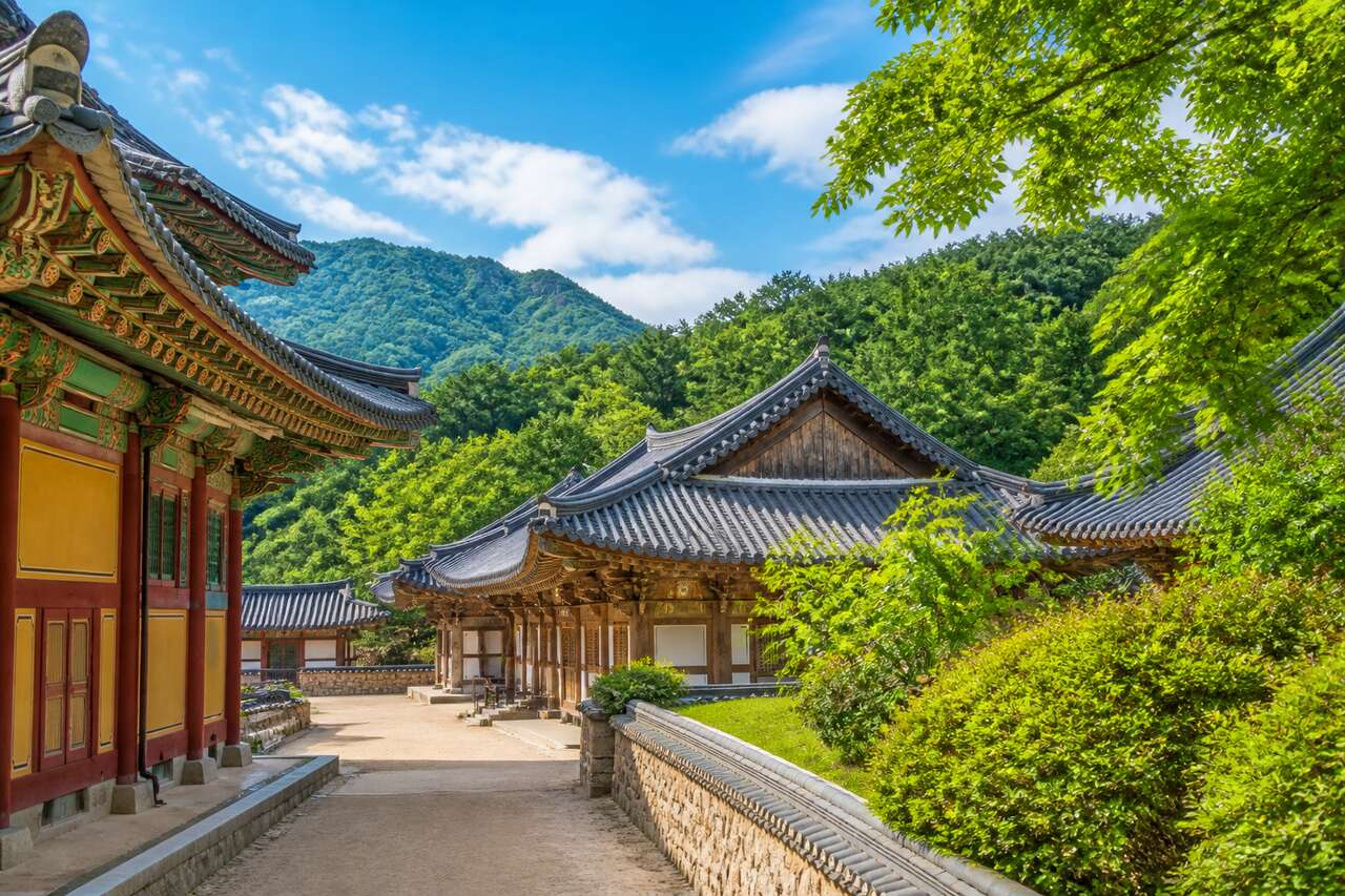 Temple Haeinsa : guide complet pour visiter ce trésor de Corée