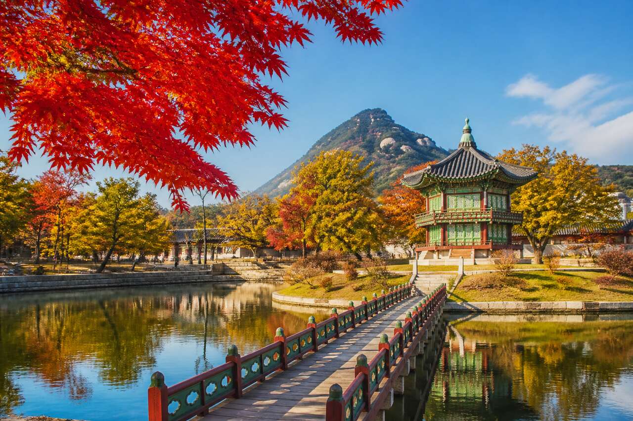 Automne en Corée : les visites incontournables