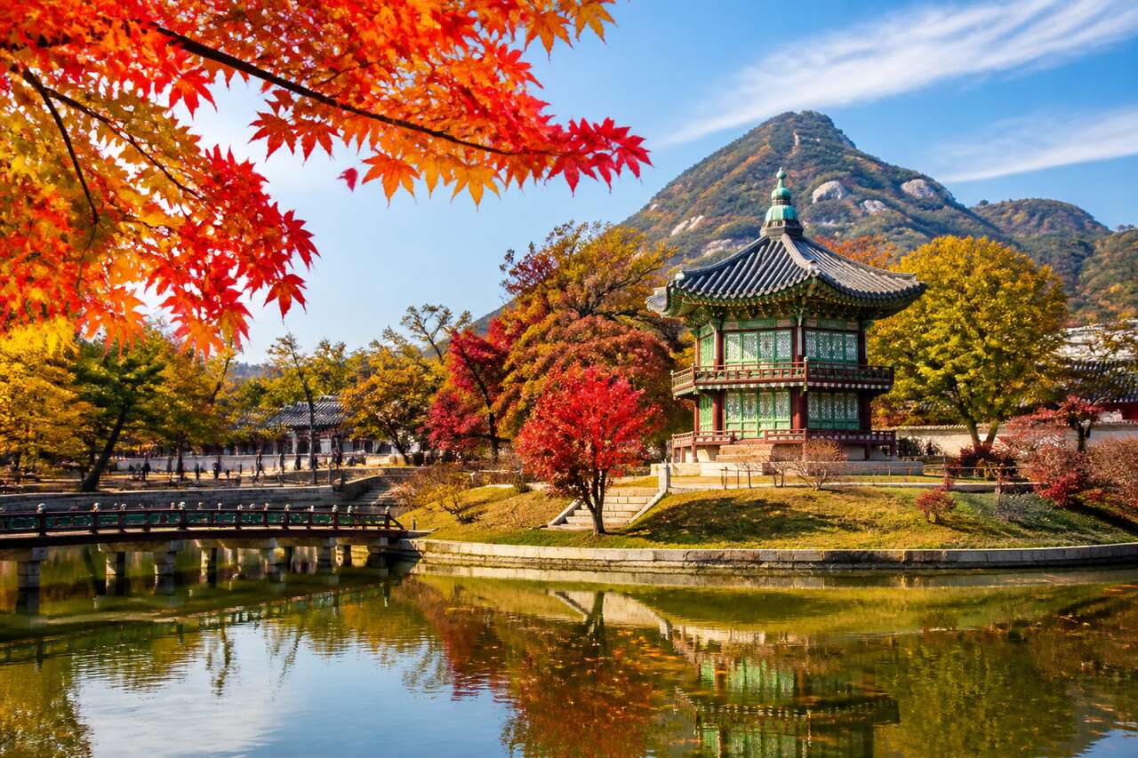 Les couleurs de l'automne en Corée : circuit incontournable